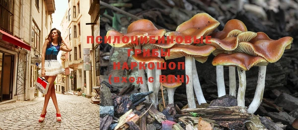 ПСИЛОЦИБИНОВЫЕ ГРИБЫ Белоозёрский