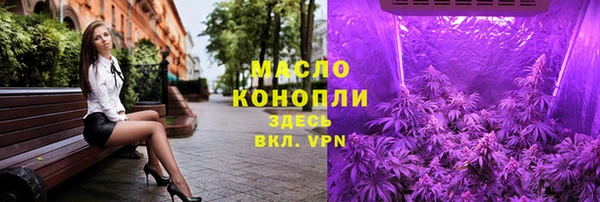 индика Беломорск