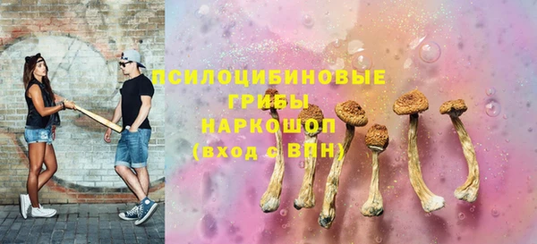 круглые Белокуриха